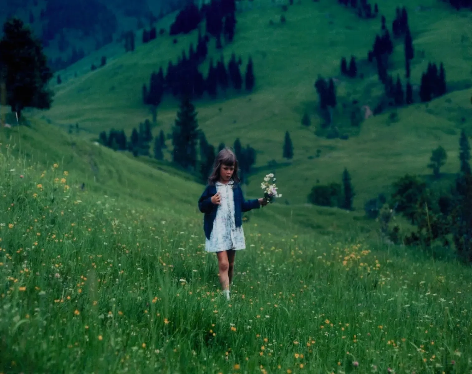 Young Anne in a meadow