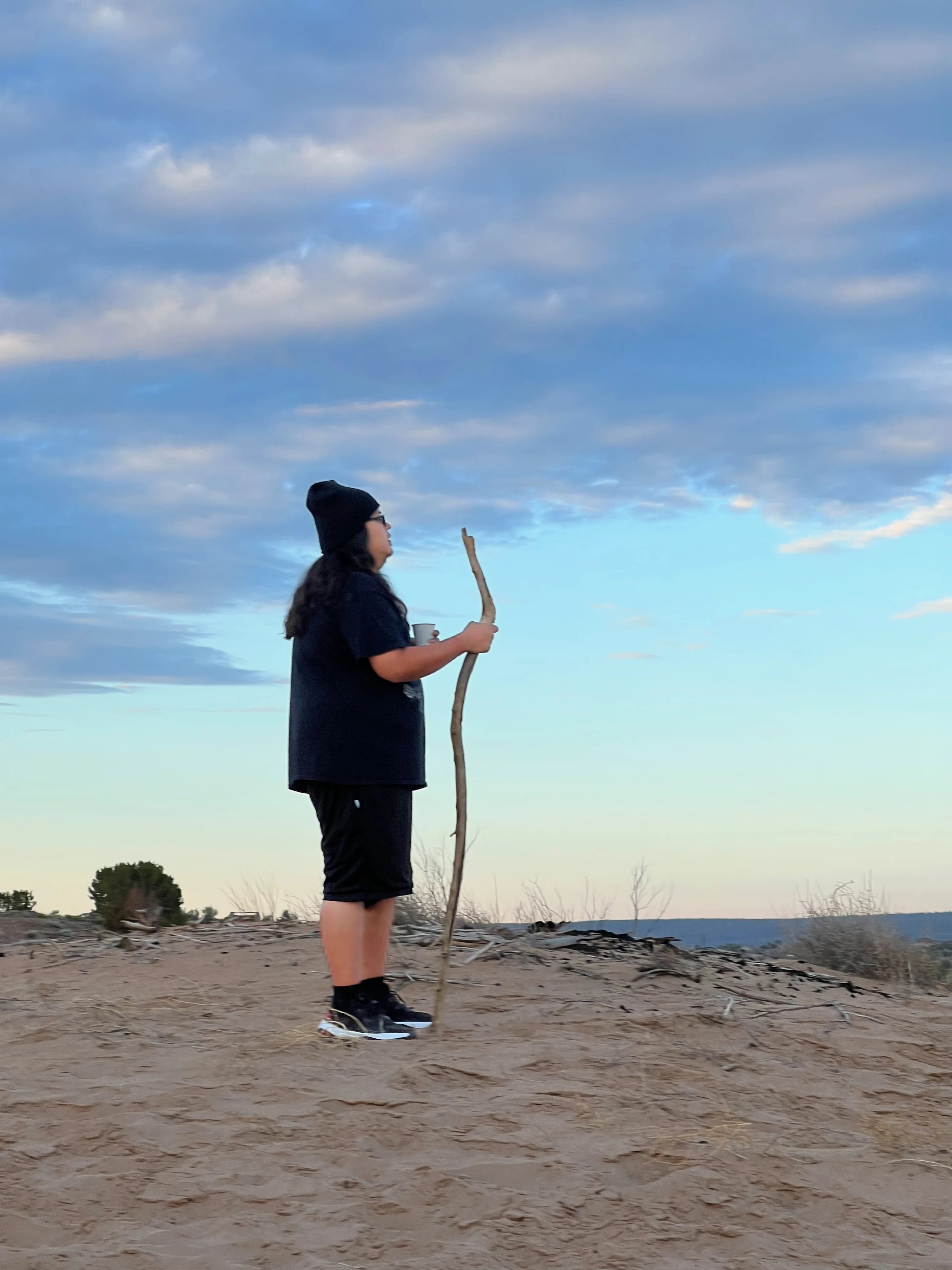 Kyle with a stick on the sand dunes at dusk — F**k Your Face