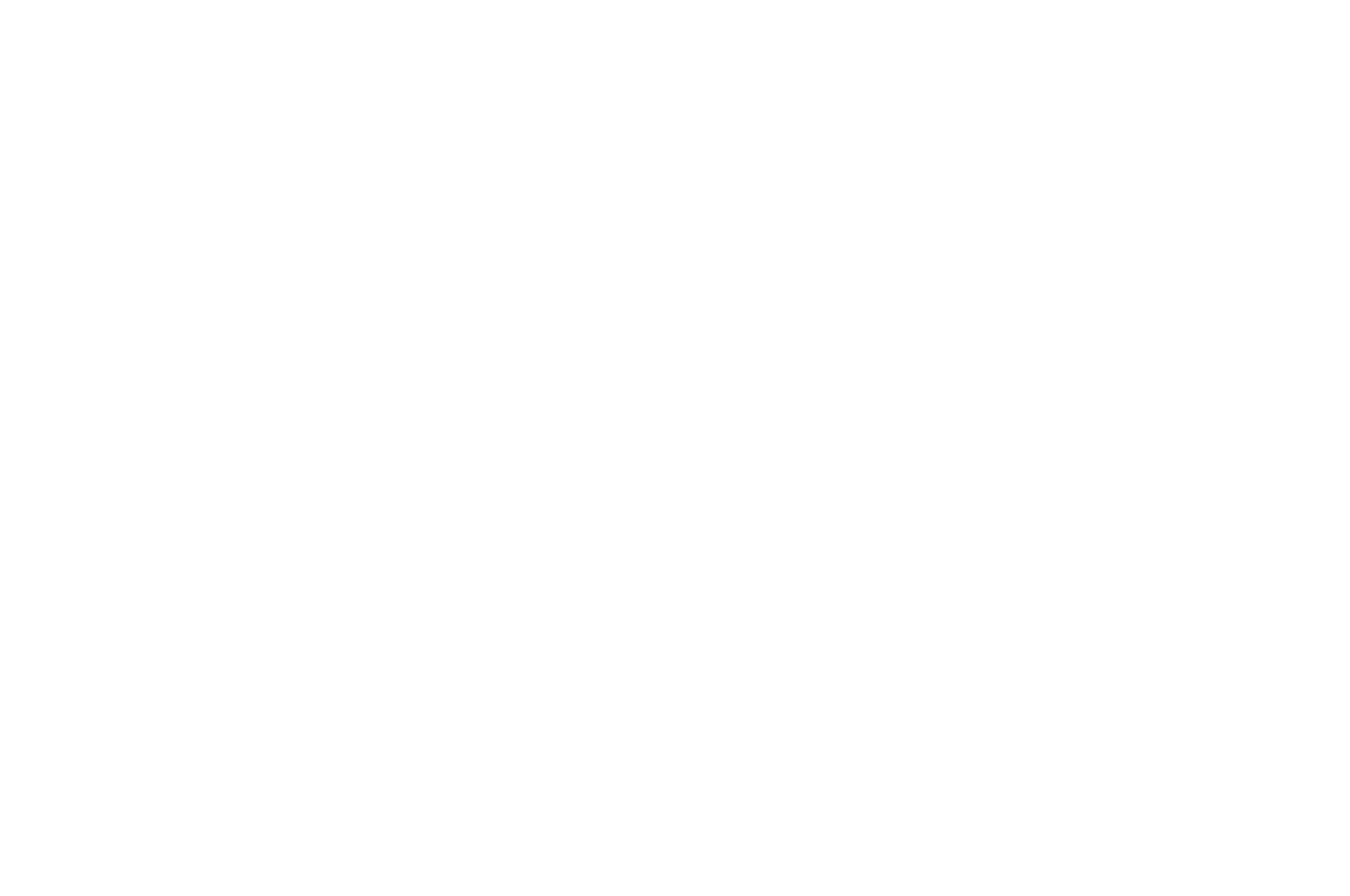 Best Music Video — Tokyo Film Awards